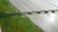 Bridge and Shoreline